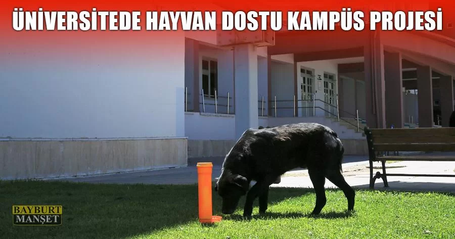 Üniversitede Hayvan Dostu Kampüs Projesi