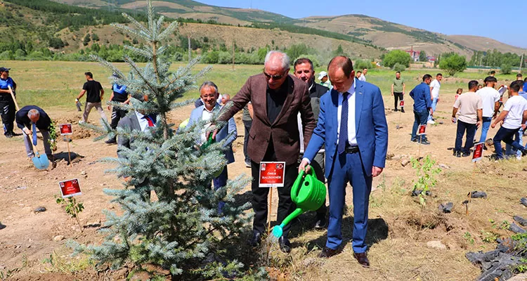 Bayburt'ta 251 Fidan Dikildi, Demokrasi ve Milli Birliğe Cansuyu