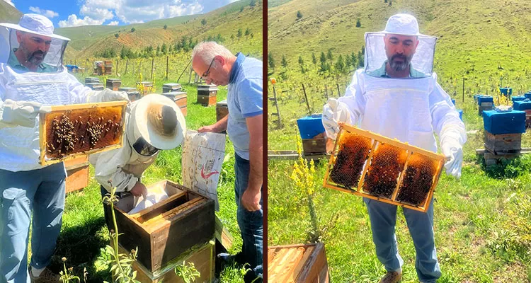 Bayburt Üniversitesi'nden Coğrafi İşaretli Bal Üretimi