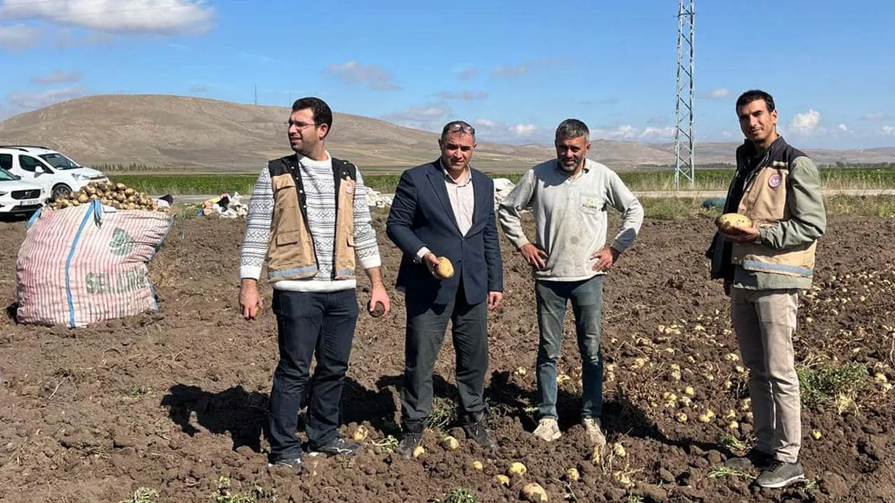 Bayburt'ta Patates Hasadı Başladı, Üreticiler Yetkililer Tarafından Bilgilendirildi