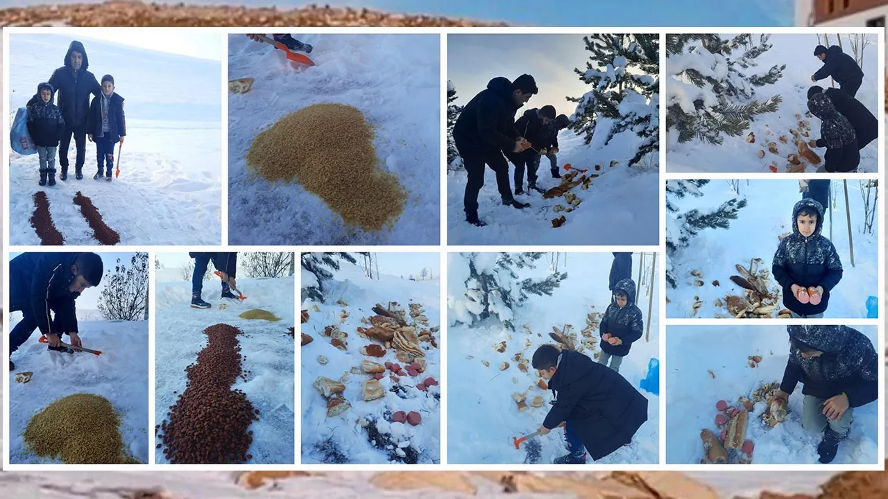 Bayburt Öğrencileri, Kışın Zorlanan Dostlarımızı Unutmadı