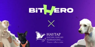 Haytap ve BitHero Kripto güçlerini birleştirdi