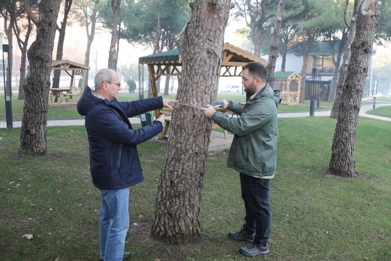 BTÜ’de orman envanterine katkı sağlayacak proje geliştiriliyor haberi