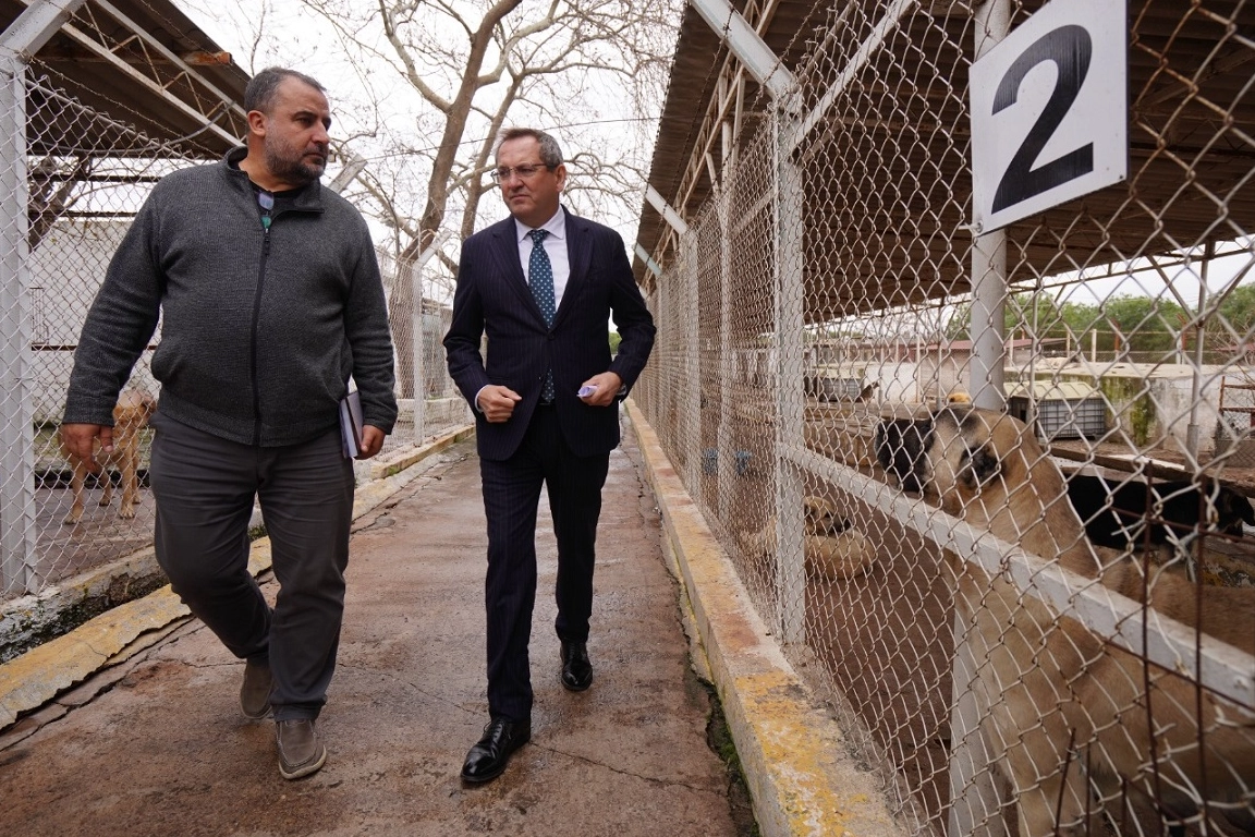 Balıkesir  Ayvalık can dostların yanında haberi