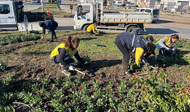 Başkan Çerçioğlu Didim’i Rengarenk Çiçeklerle Süslüyor haberi