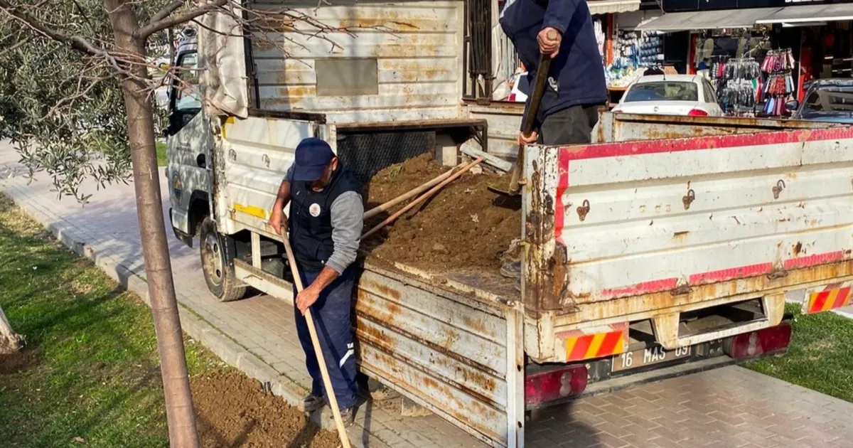 Bursa Gemlik'te çevre düzenleme çalışmaları devam ediyor haberi