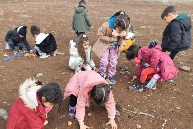 Diyarbakırlı çocuklar meşe tohumlarını toprakla buluşturdu haberi