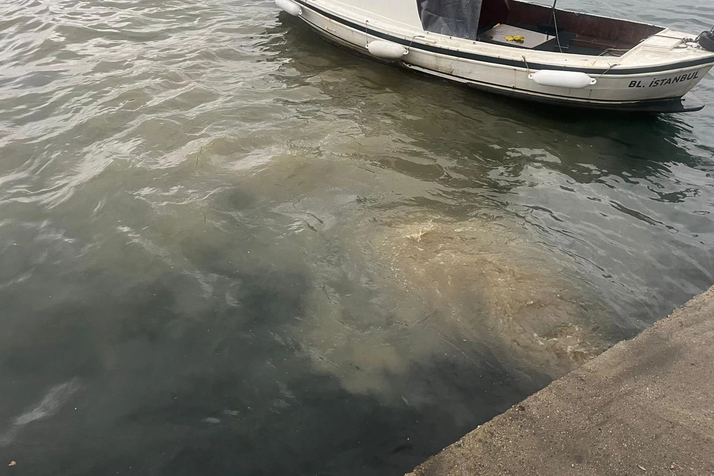 İstanbul Üsküdar'da atık su deşarjına inceleme! haberi