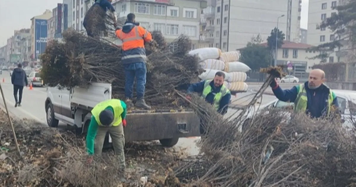 Kayseri Büyükşehir 'yeşil Kayseri' için çalışıyor haberi