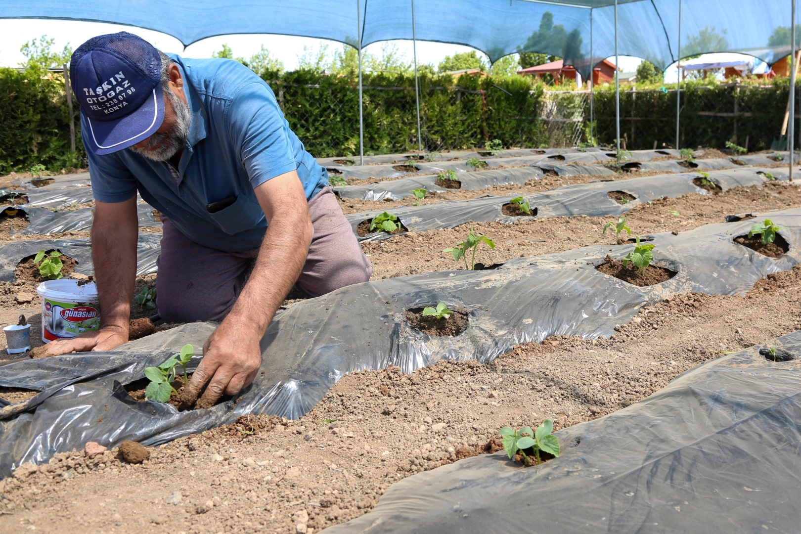 Konya’da başvurular 15 Ocak'ta başlıyor haberi