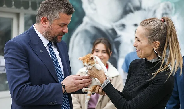 Mucize, Buca Belediyesi veterinerleri sayesinde hayata tutundu haberi