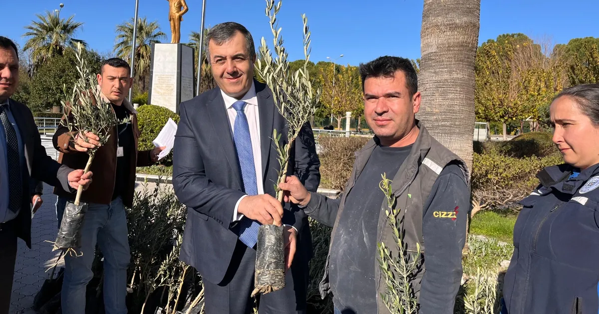 Muğla Dalaman'da zeytin ve ceviz fidanları dağıtıldı haberi