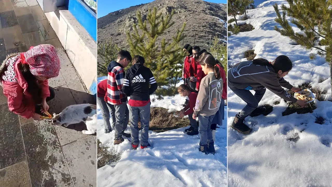 Bayburt'ta Öğrencilerden Örnek Davranış, Sokak Canlarını Unutmadılar Haberi