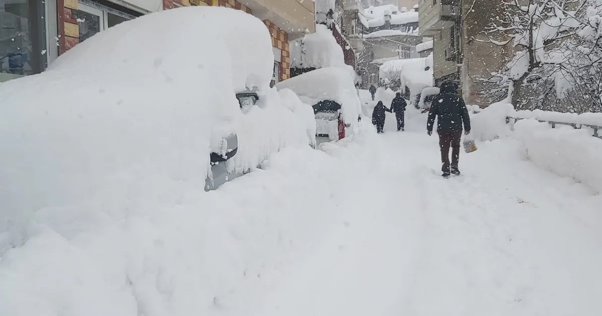 Artvin'de kar 217 köye ulaşımı kesti! haberi