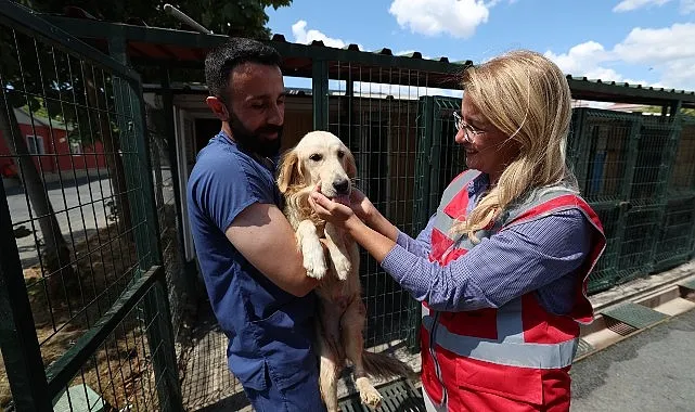 Bakırköy Belediyesi Veteriner İşleri Müdürlüğü Hayvanların Yanında haberi