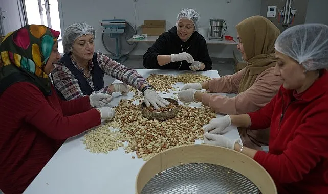 Deprem Bölgesinde Kadın Kooperatiflerinin Umut ve Dayanışma Hikayesi: “Yeniden” Digiturk’te haberi