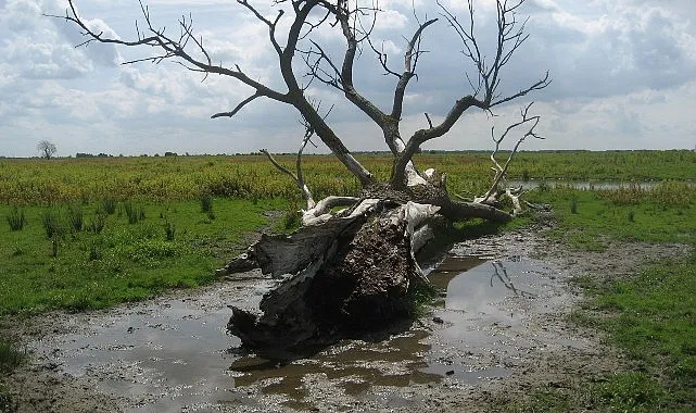 Ekosistemlerin-Kirilganligina-Sinema-Merceginden-Bir-Bakis-Cinema-Ecologica-Seckisi-Akbank Cinema Ecologica Seçkisi Akbank Sanat'ta