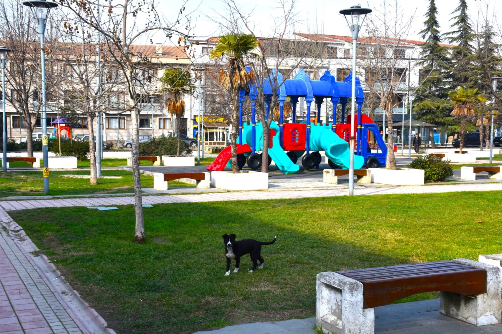 Gemlik'in parklarda çevresi değişiyor haberi