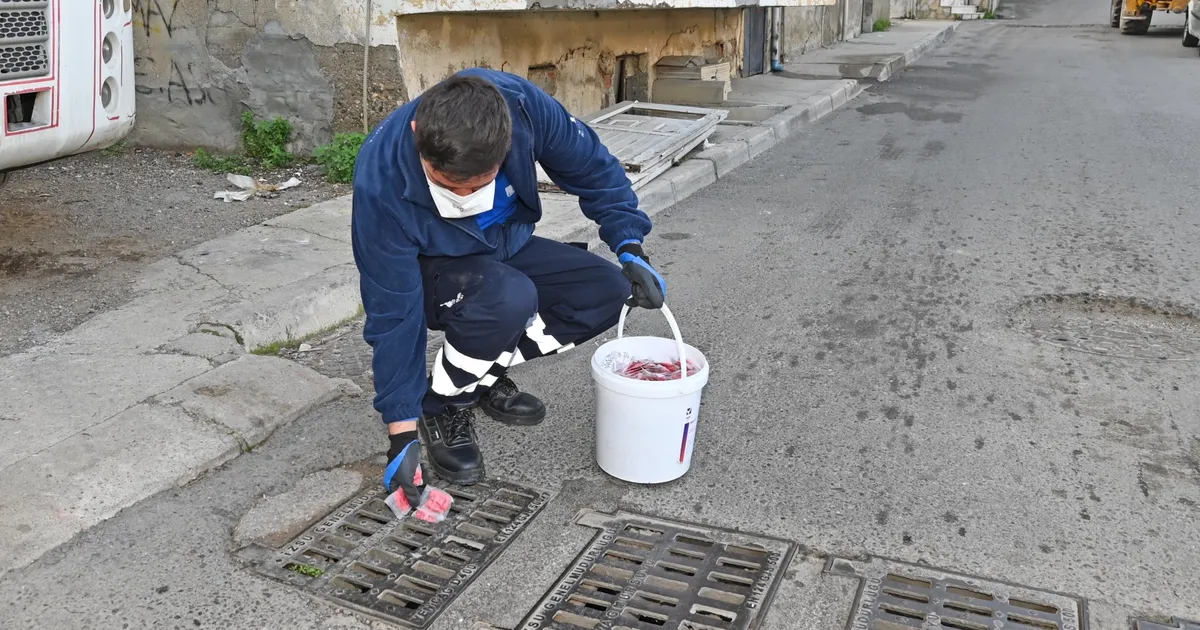 İzmir Karabağlar'da erken dönem sinek mücadelesi başladı haberi