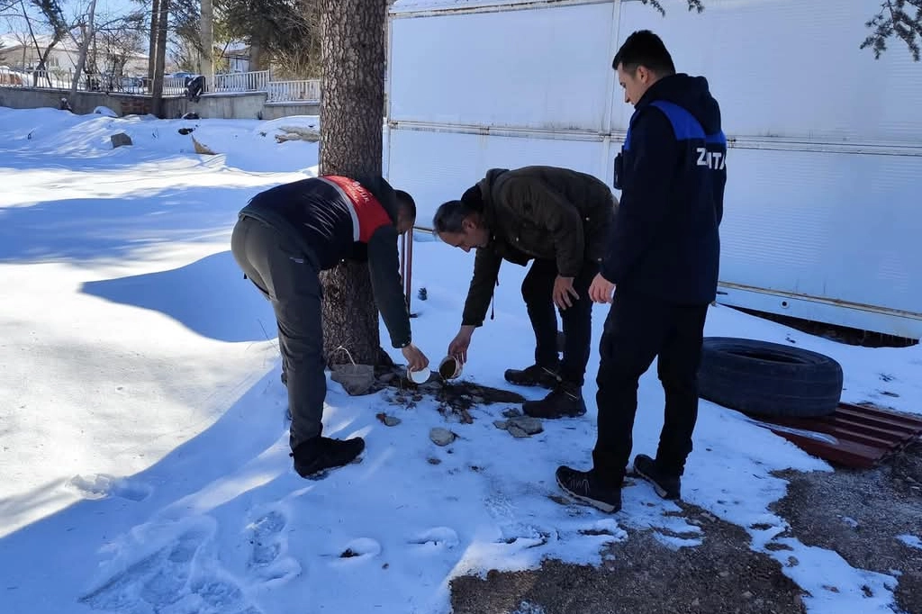 Malatya'da sokak hayvanları unutulmadı haberi