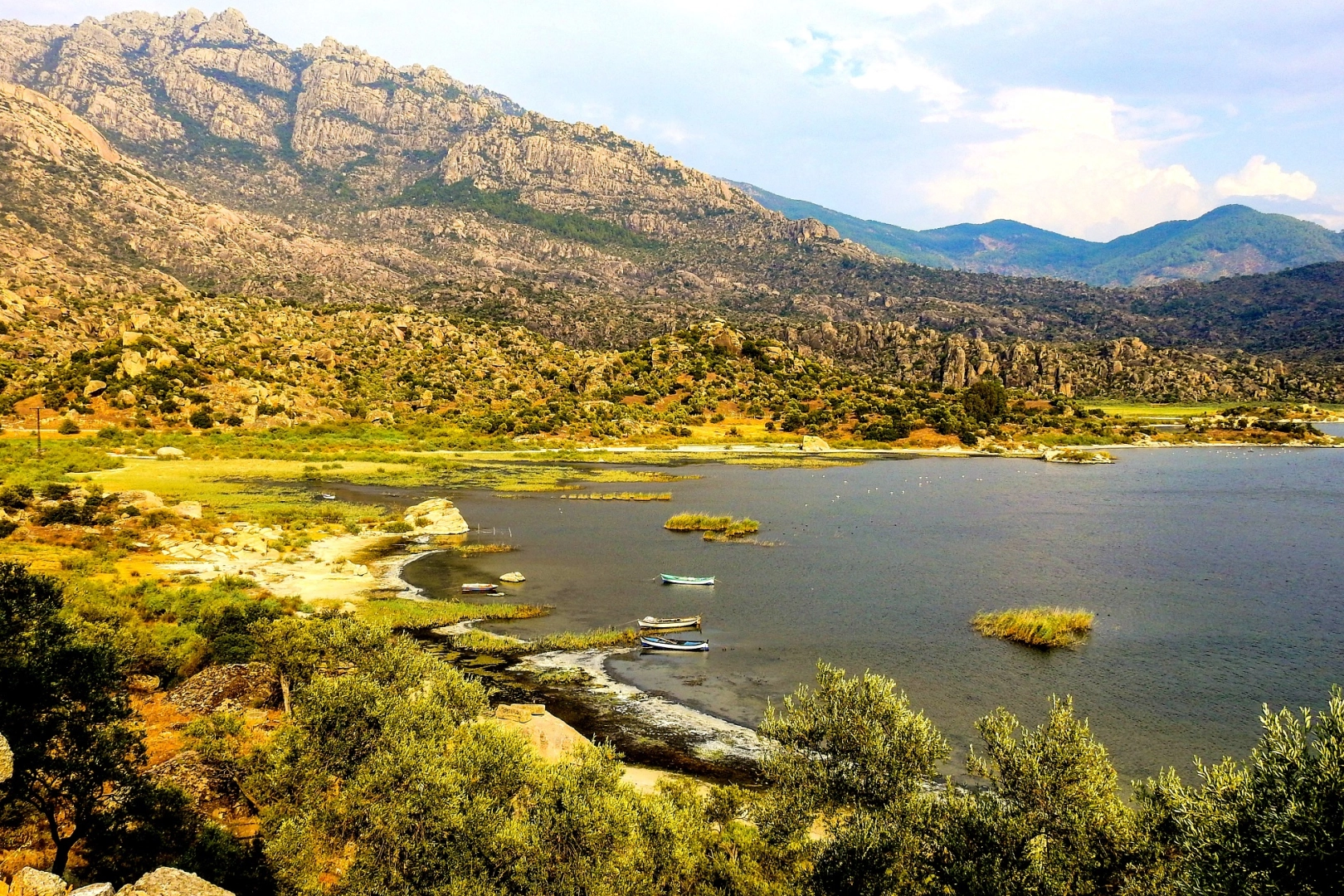 Proje Evi Kooperatifi'nden evrensel imza haberi