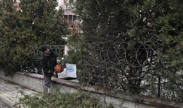 Şehir Genelinde Ağaç Budama Çalışmaları Sürüyor haberi