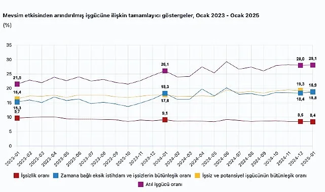 Tüik: Mevsim etkisinden arındırılmış işsizlik oranı %8,4 seviyesinde gerçekleşti haberi