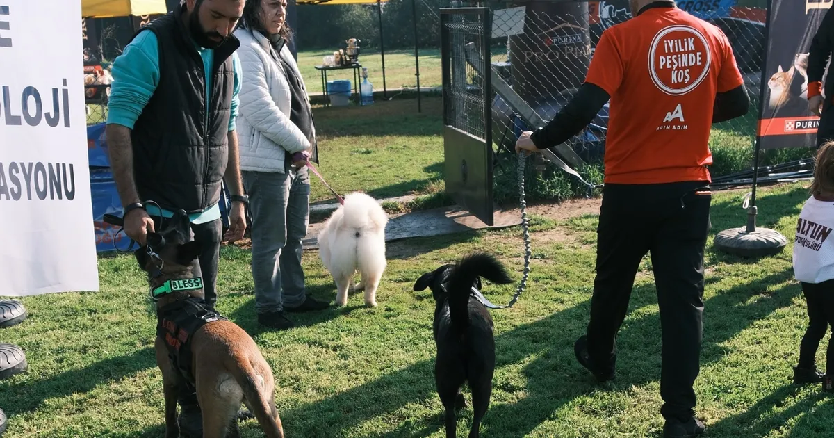 Türkiye’de ilk kez Köpekli Labirent Oryantiring yarışması yapıldı haberi