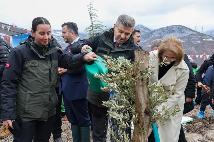 Artvin'de 21 Mart'a özel fidan dikimi haberi