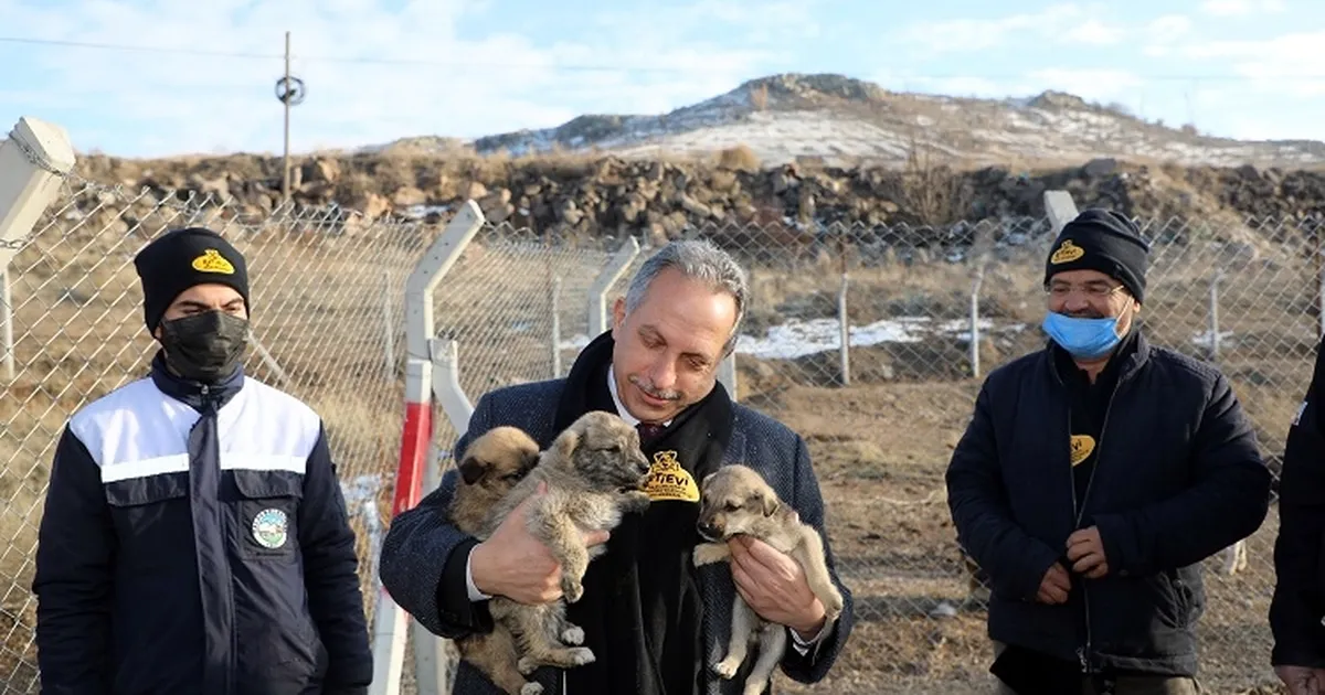 Kayseri Talas'a Türkiye'ye örnek Pati Evi haberi