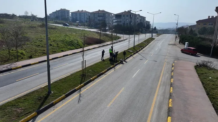 Sakarya'da yeşil’ dokunuşla şehrin çehresini değiştiriyor haberi