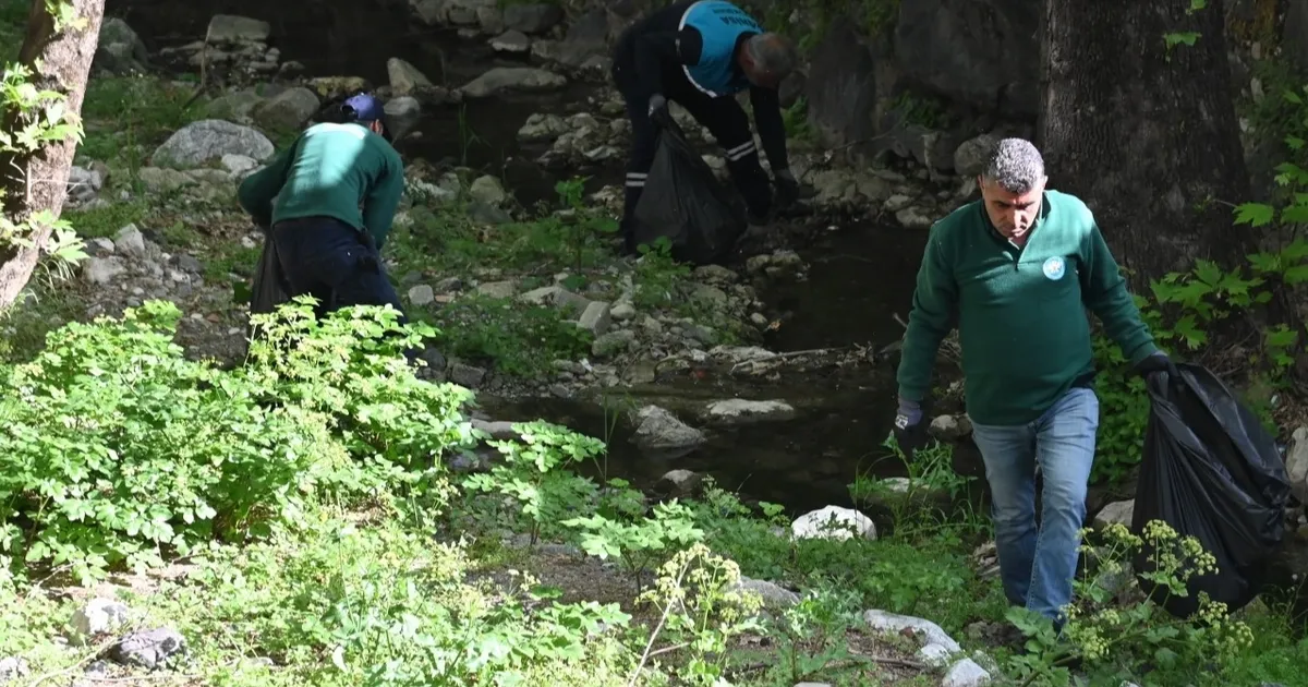 Çaybaşı Deresi’nde temizlik ve ağaçlandırma haberi