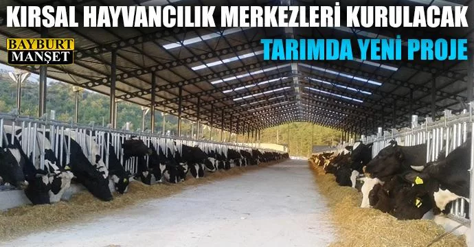 Köylere kırsal hayvancılık merkezleri kurulacak