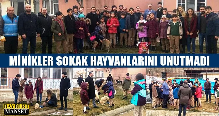 Minikler Sokak Hayvanlarını Unutmadı