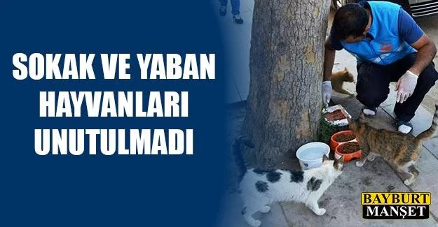 Sokak ve Yaban Hayvanları Unutulmadı